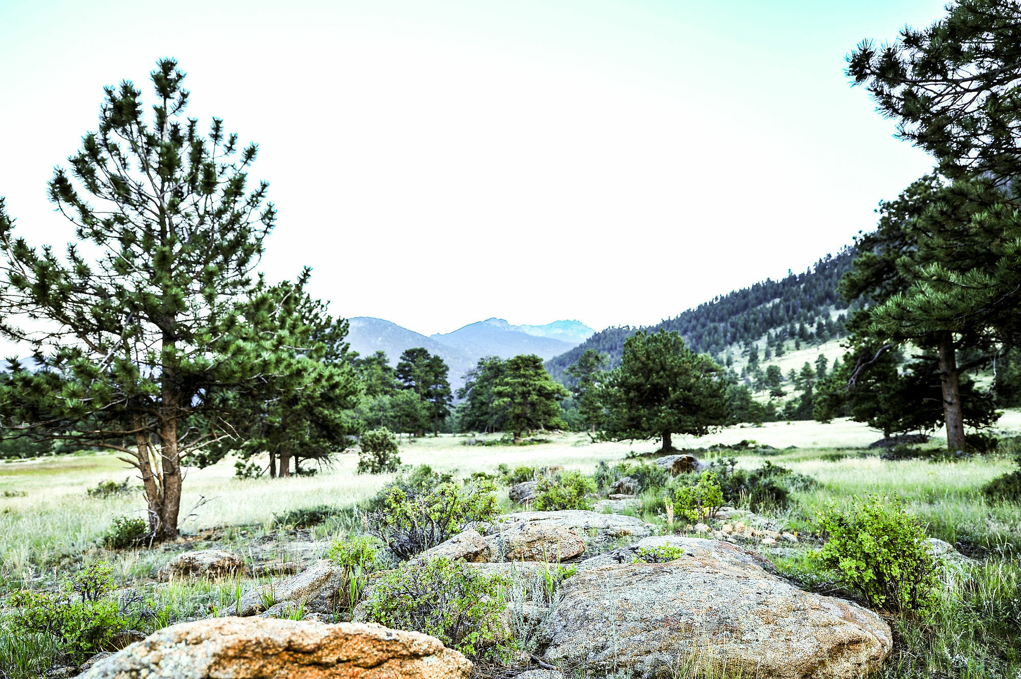 The Historic Crag'S Lodge Estes Park Kültér fotó